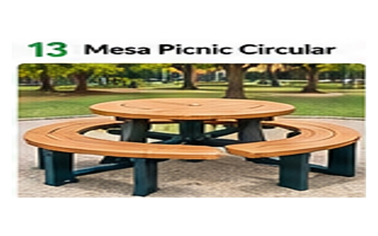Mesa Picnic Circular